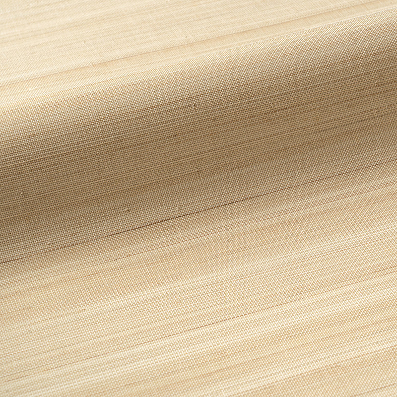 Abaca Horizon