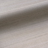 Abaca Horizon