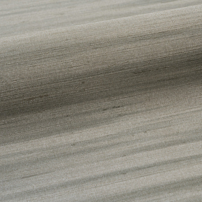 The Silk Effect