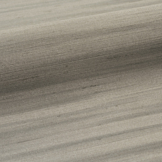 The Silk Effect