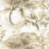 Shangri-La