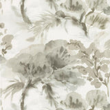 Shangri-La