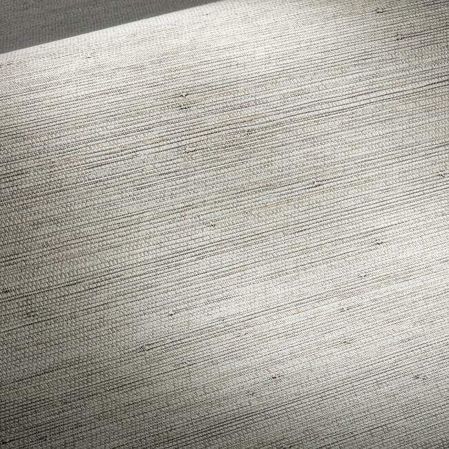 LX1606 detail