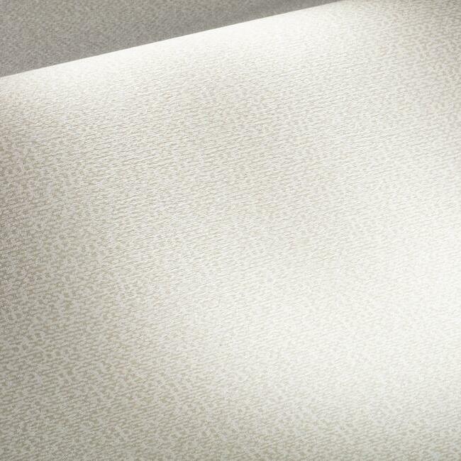 LX1625 detail