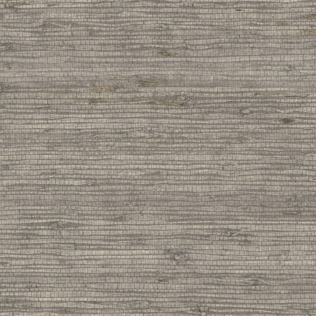 Seadrift Grass
