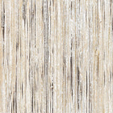 Raffia Palm