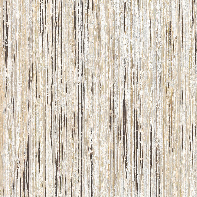 Raffia Palm