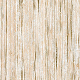 Raffia Palm