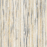 Raffia Palm