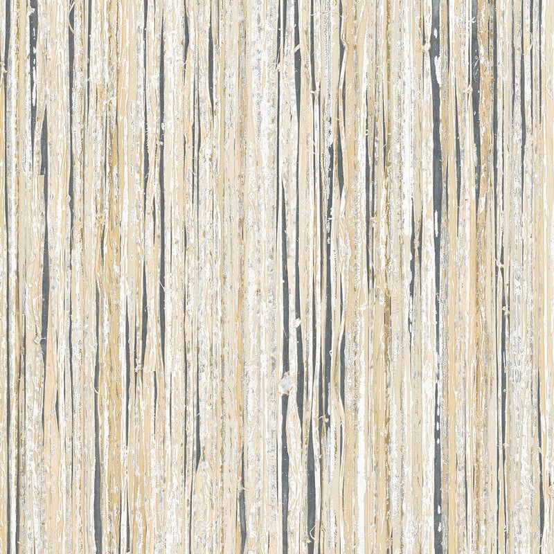 Raffia Palm