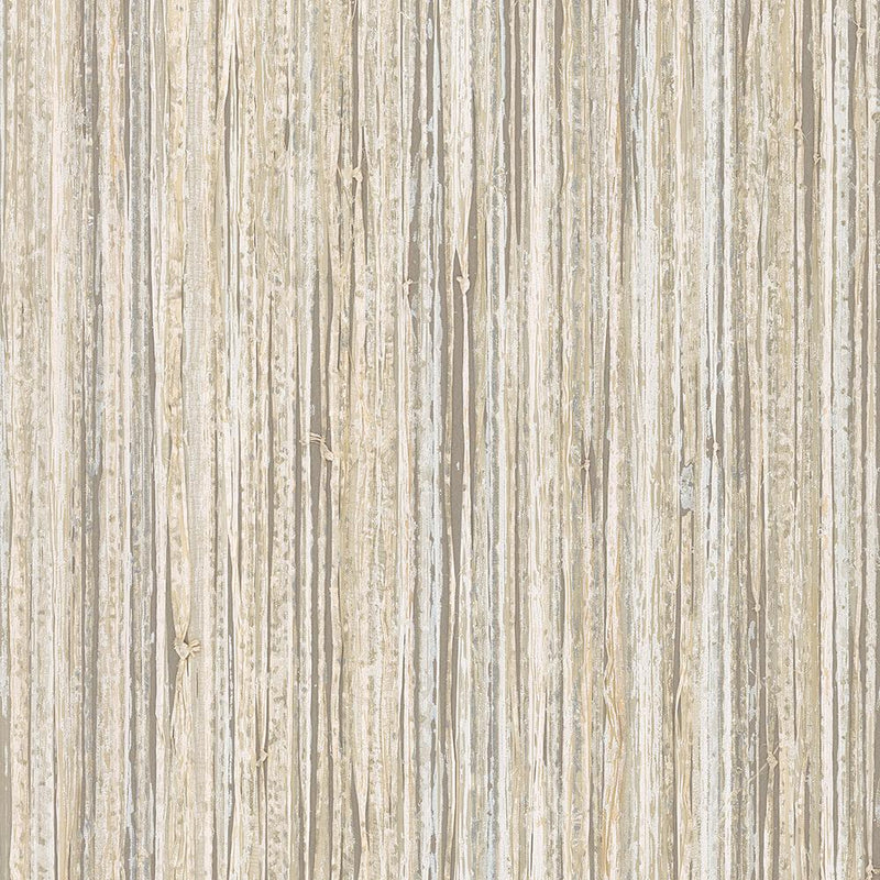 Raffia Palm